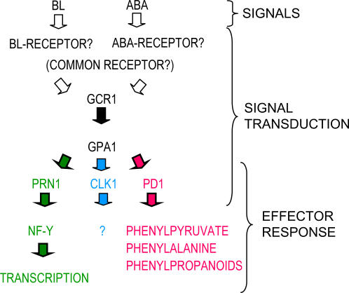 Figure 9.