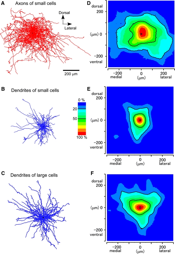 Fig. 2