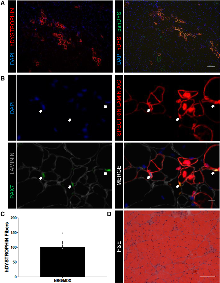 Figure 4