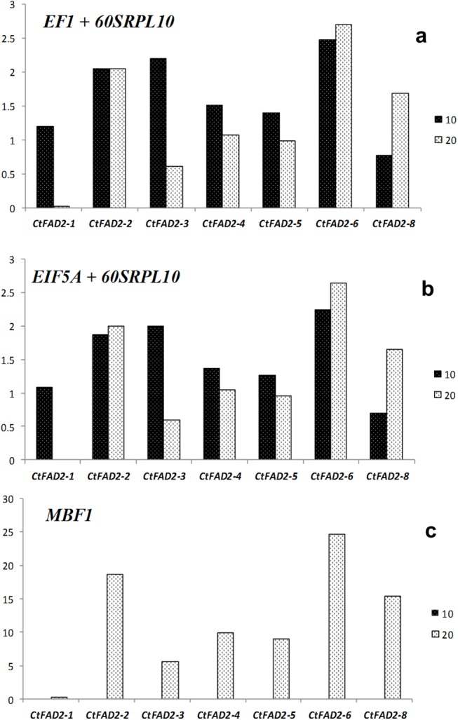 Fig 6