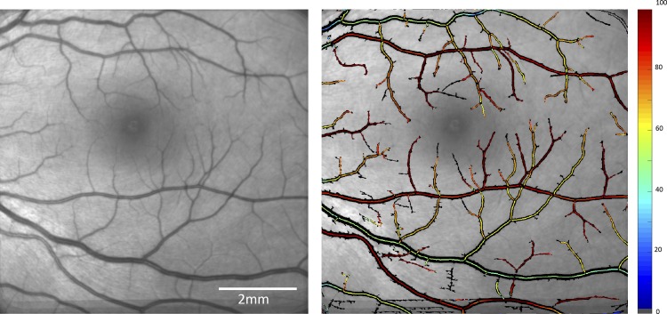 Fig. 3.