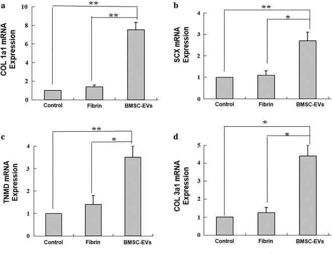 Fig. 7