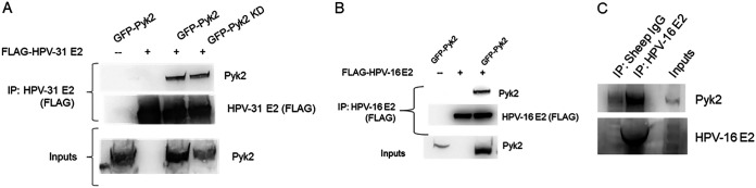 FIG 1