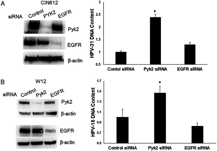 FIG 6