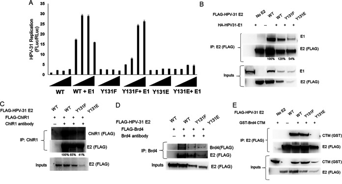 FIG 10