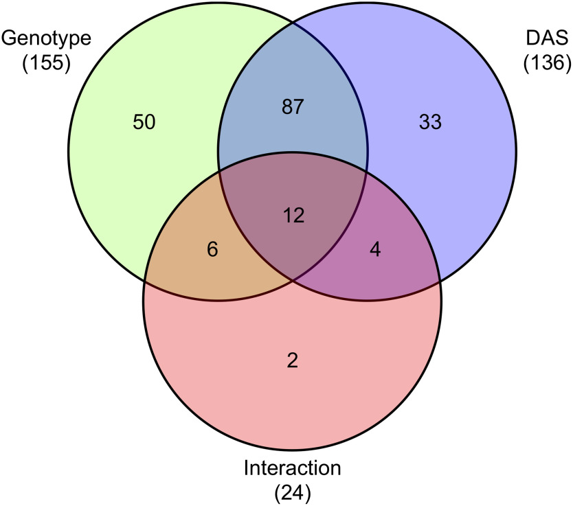 Figure 3. Significant differences in levels of metabolites detected using GC-TOF-MS analysis based on two-way ANOVA. Numbers of the intersection on the Venn diagram indicate the common metabolites, while those of each complement of genotype, DAS, or interaction shows specific metabolites associated with differences in genotype, DAS, or both (two-way ANOVA; p<0.05).