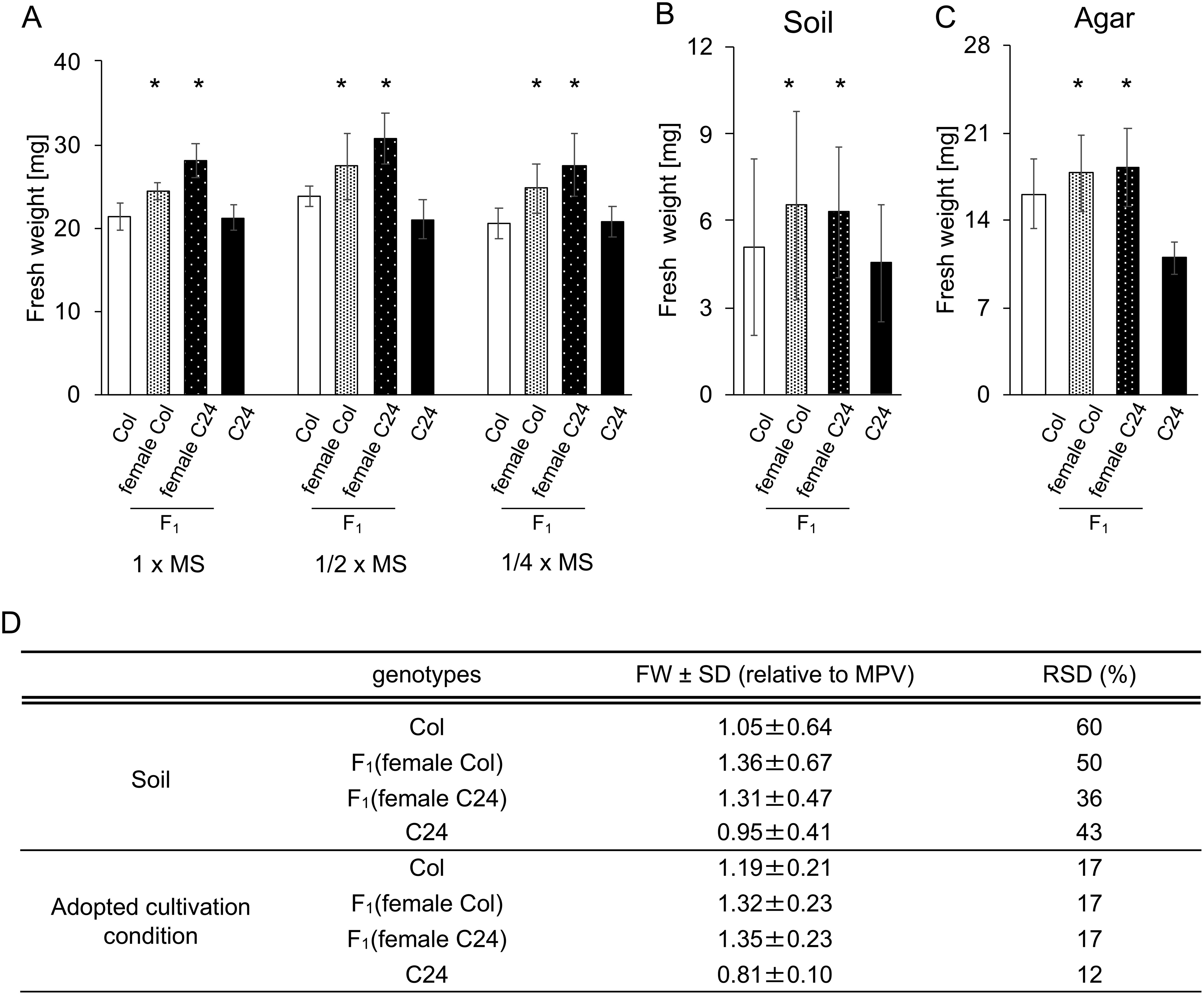 Figure 1. Phenotyping of Col, C24, and F1 hybrids in different growth conditions. (A) Fresh weight (FW) of F1 hybrids and parents grown in different levels of N. Murashige and Skoog salt concentrations were modified for each condition. FW of Col, C24, and F1 hybrids for each condition was measured at 15 DAS. Two plants were combined into a single sample for FW measurements. n=6. (B) FW of rosette leaves at 15 DAS of plants grown on soil. n≥21. (C) FW of rosette leaves from plants grown on agar plates at 15 DAS. n=12. (D) The relative FW was calculated by dividing the average of each sample weight by the MPV. The RSD was calculated by dividing the SD value by the mean FW. Error bars represent SD. Asterisks (*) indicate significant differences from MPV based on Student’s t-tests (p<0.05).