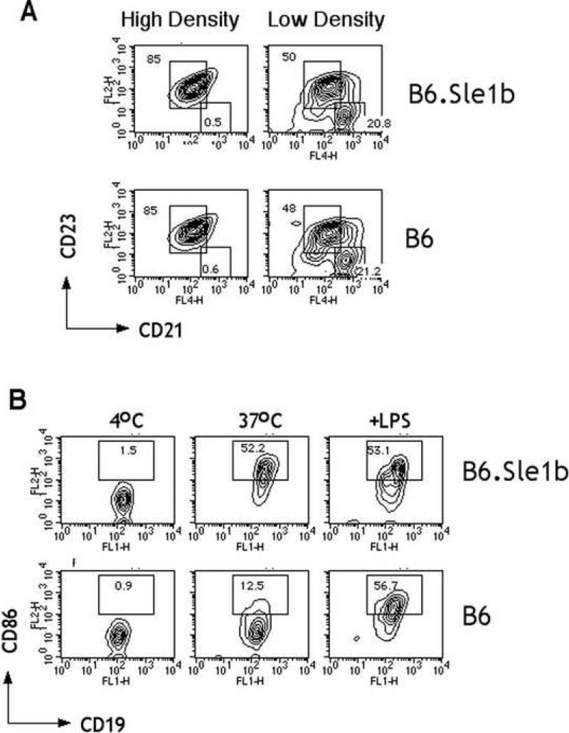 Fig.1