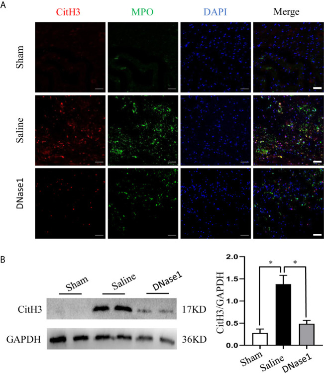 Figure 3