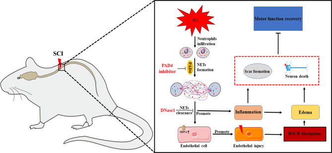 Figure 10