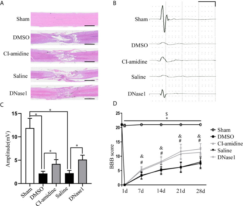 Figure 7