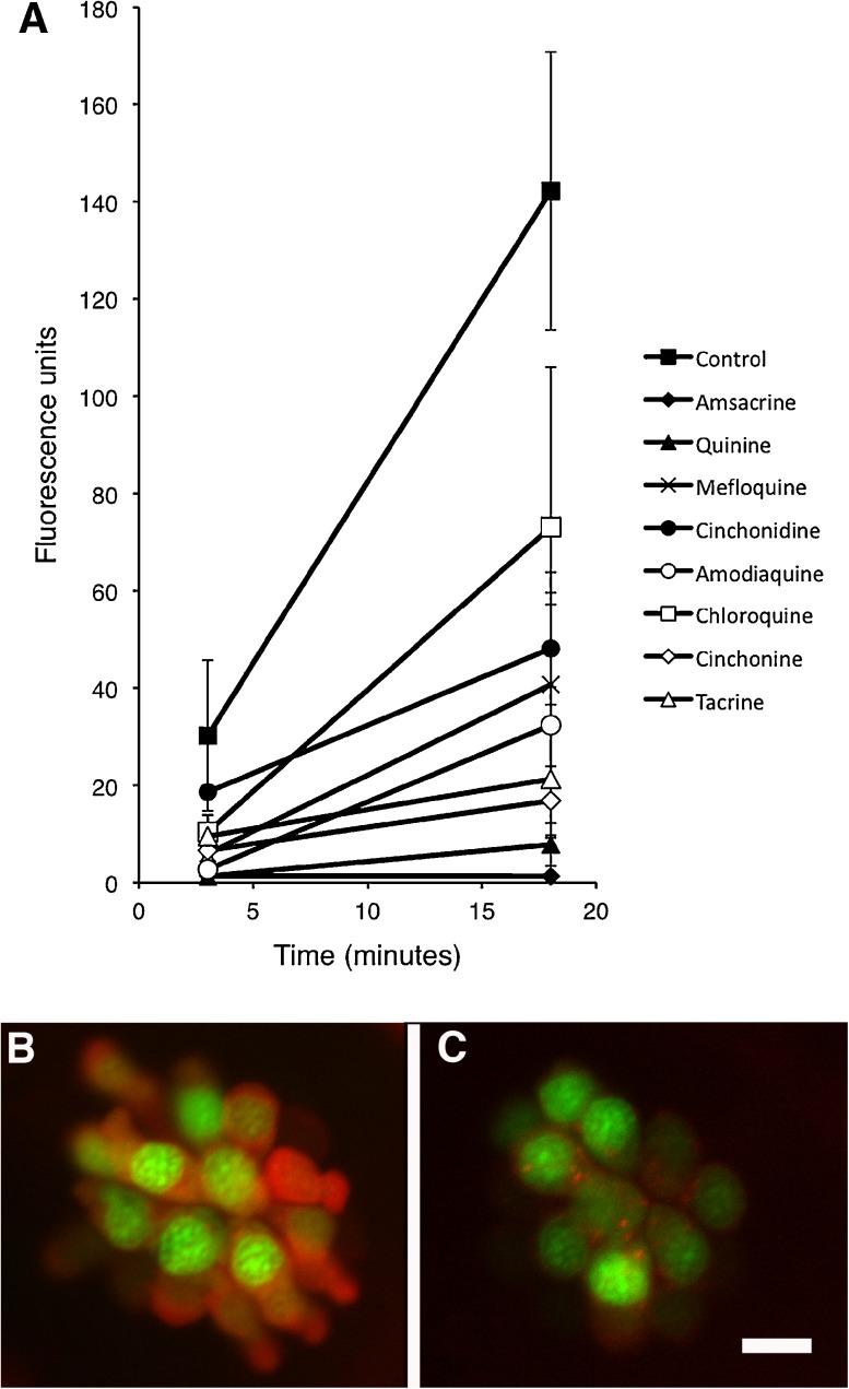 FIG. 4