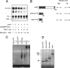 Fig. 10.