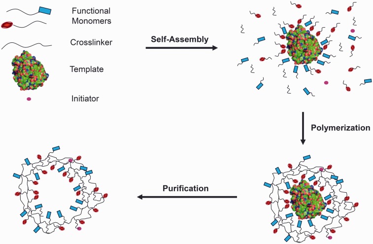 Figure 2. 