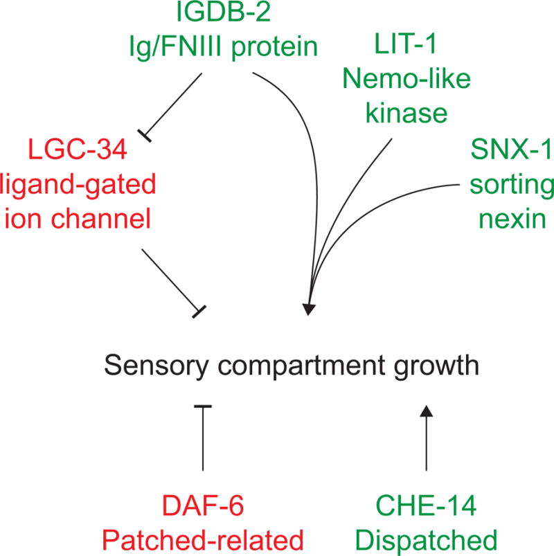 Fig. 8