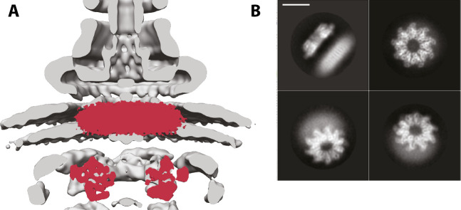 Fig 4