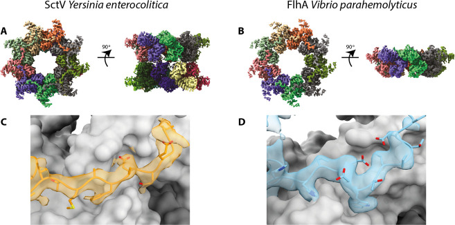 Fig 2