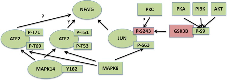 Fig. 4.