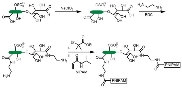 Scheme 10