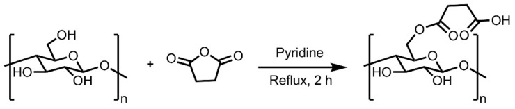 Scheme 13