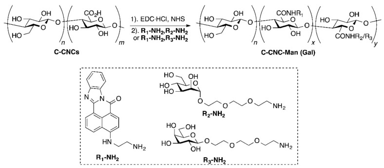 Scheme 11