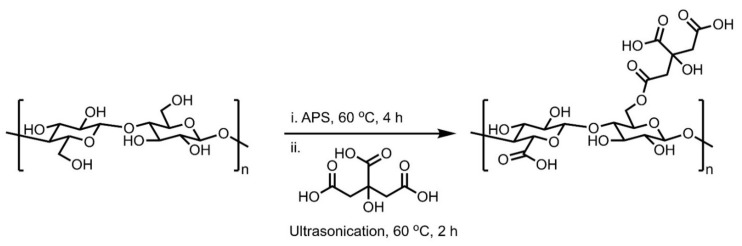 Scheme 5