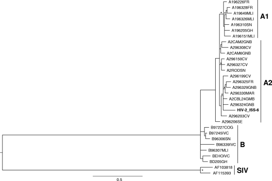 FIG. 1.