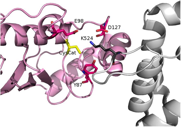 Figure 6