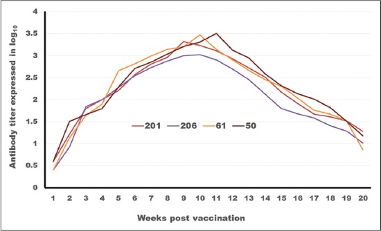 Figure-3