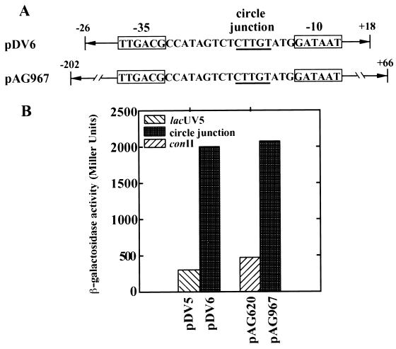 FIG. 8