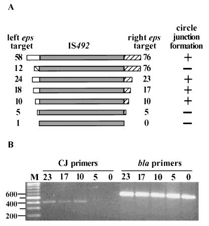 FIG. 6