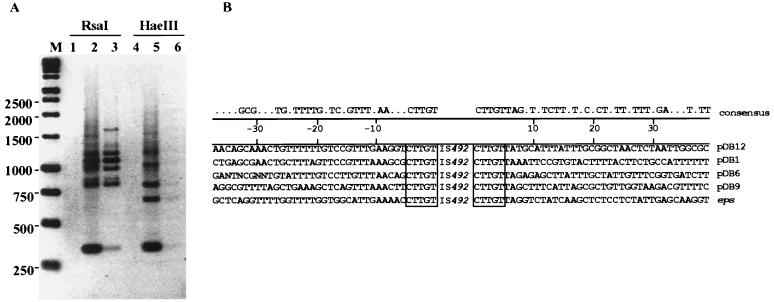 FIG. 7