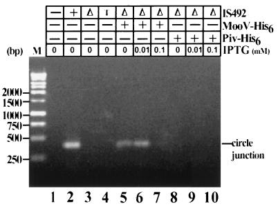 FIG. 4