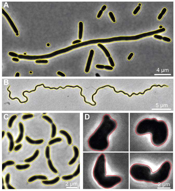 Fig. 4