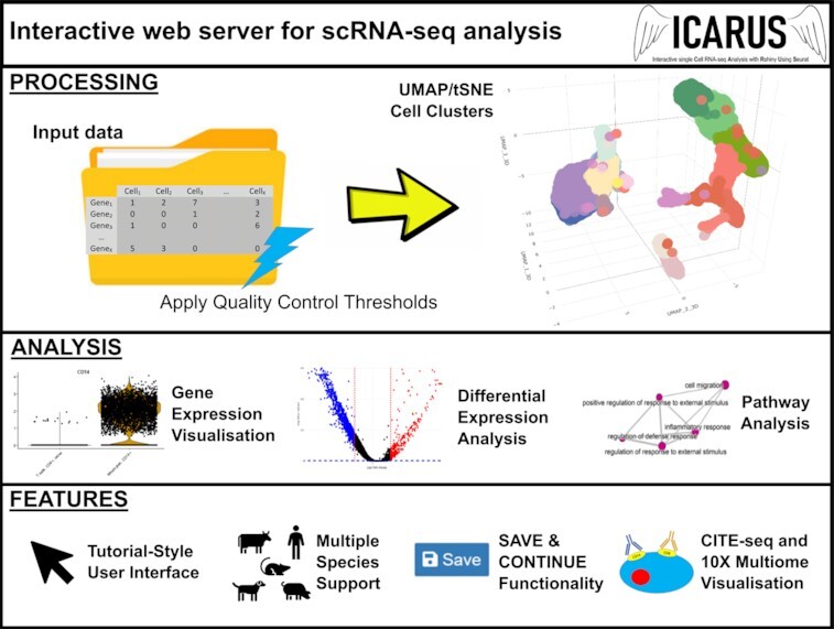 Graphical Abstract