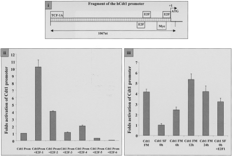 Figure 5-4261