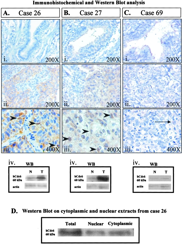 Figure 3-4261