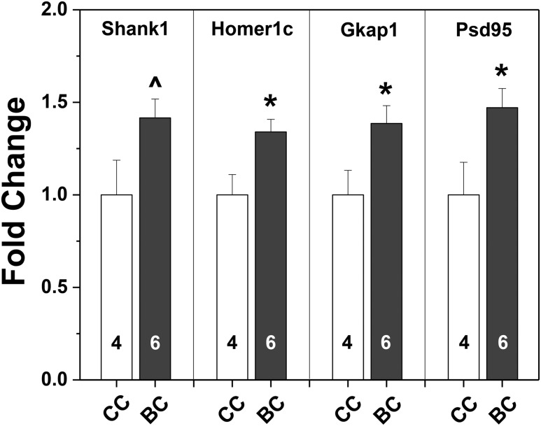 Figure 5.