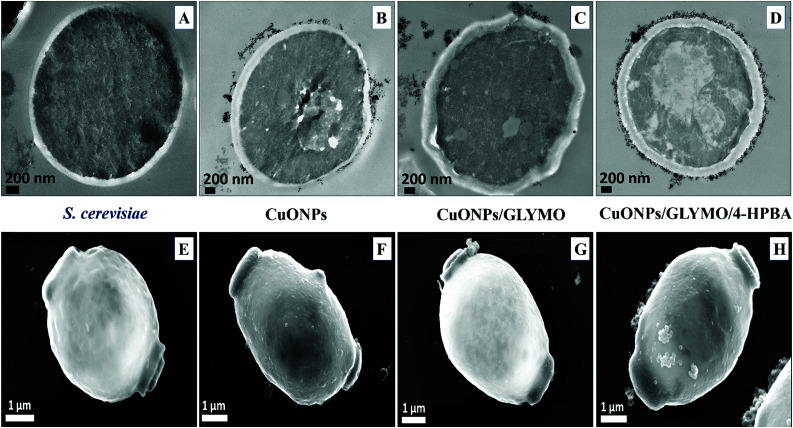 Fig. 9