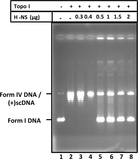 Figure 7.