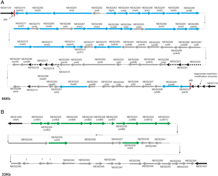 Fig. 4