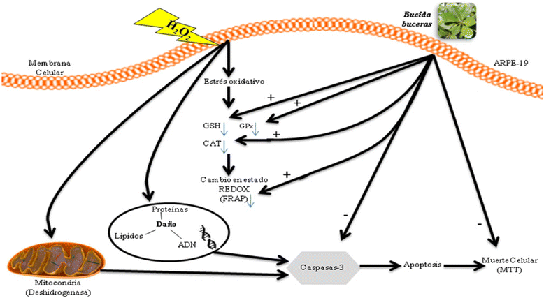 Fig. 17