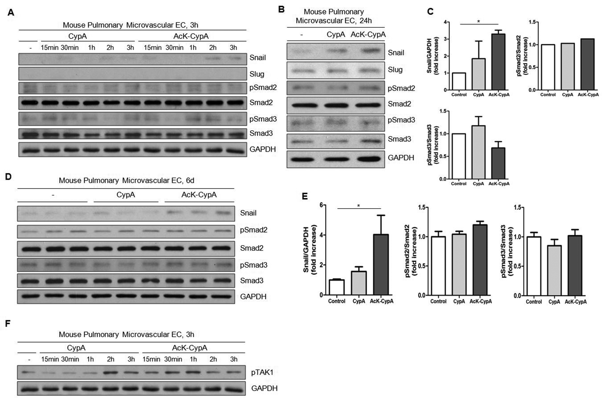 Fig 6.