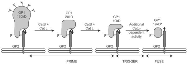 FIG. 5