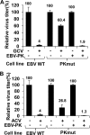 FIG. 5.