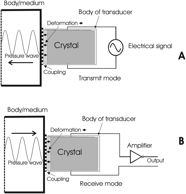 Fig. 1