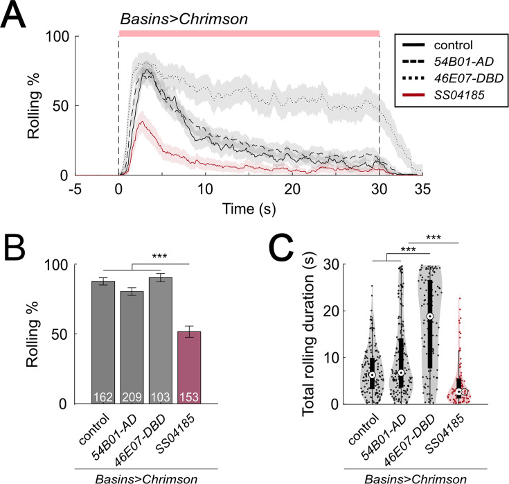 Figure 1—figure supplement 2.