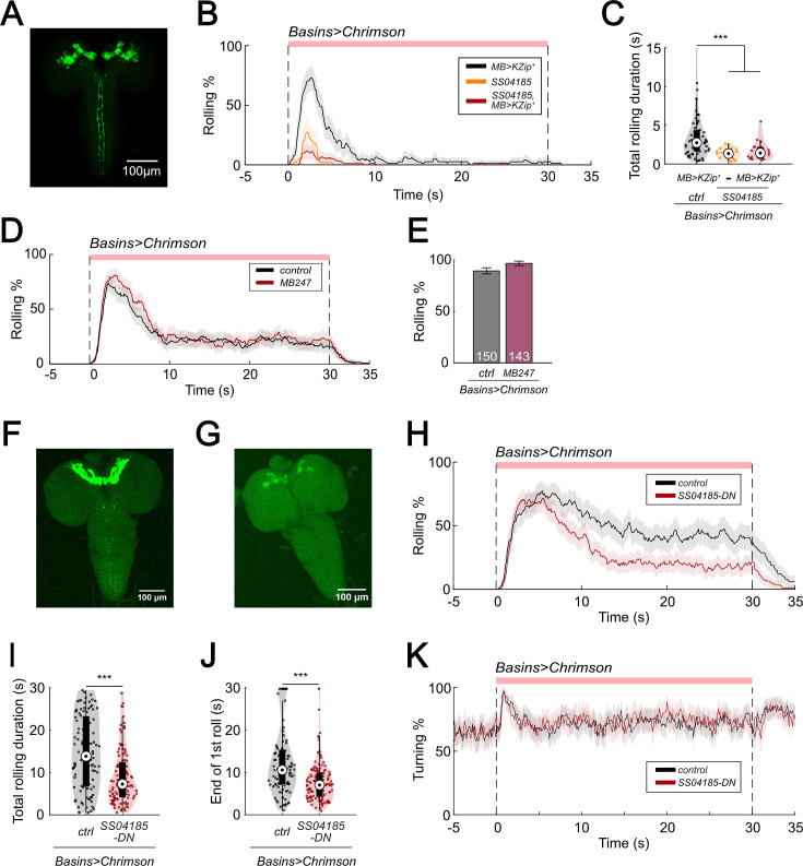 Figure 2—figure supplement 1.