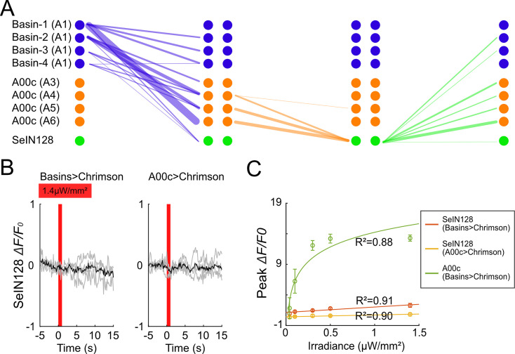 Figure 4—figure supplement 1.