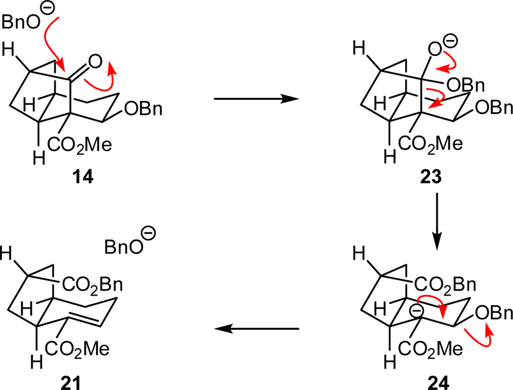 Scheme 5